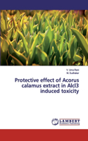Protective effect of Acorus calamus extract in Alcl3 induced toxicity