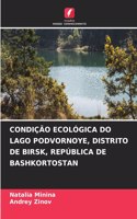 Condição Ecológica Do Lago Podvornoye, Distrito de Birsk, República de Bashkortostan