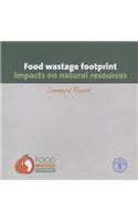 Food wastage footprint: Impacts on Natural Resources, Summary Report