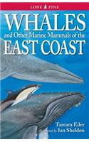 Whales and Other Marine Mammals of the East Coast