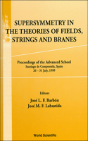 Supersymmetry In The Theories Of Fields, Strings & Branes, Procs Of The Advanced School