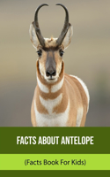 Facts About Antelope (Facts Book For Kids)