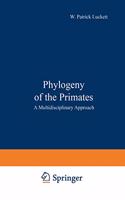 Phylogeny of the Primates