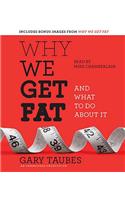 Why We Get Fat: And What to Do about It