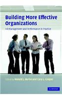 Building More Effective Organizations
