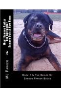 Meet Samson Parker The Rottweiler - Samson Gets A New Home