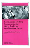 Homeless and Working Youth Around the World: Exploring Developmental Issues