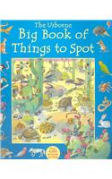 The Usborne Big Book of Things to Spot