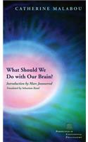What Should We Do with Our Brain?