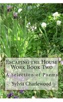 Escaping the House Work Book Two