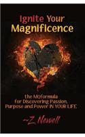 Ignite Your Magnificence
