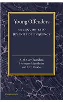 Young Offenders