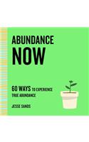 Abundance Now