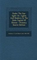 Under the Gas-Light: Or, Lights and Shadows in the State Capital of Illinois