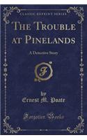 The Trouble at Pinelands: A Detective Story (Classic Reprint)