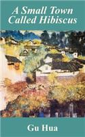 Small Town Called Hibiscus