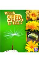 Which Seed Is This?