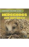 Hedgehogs Are Not Hogs!: (Confusing Creature Names)