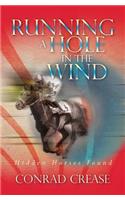 Running a Hole in the Wind: Hidden Horses Found(English)