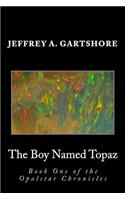 The Boy Named Topaz: (1 The Opalstar Chronicles)