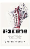 Surgical Anatomy: [Illustrated With Sixty-Eight Coloured Plates]