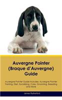 Auvergne Pointer (Braque d'Auvergne) Guide Auvergne Pointer Guide Includes: Auvergne Pointer Training, Diet, Socializing, Care, Grooming, Breeding and More