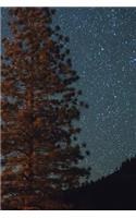 Stars in the Pines: 150 page lined 6? x 9? notebook/diary/journal