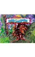 Leggy Centipedes