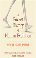 A Pocket History of Human Evolution