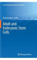 Adult and Embryonic Stem Cells