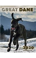 Great Dane 2020 Calendar