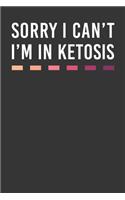 Sorry I Can't I'm In Ketosis: Calendar 2020 Daily Planner & Organizer (6x9 Inches) with 120 Pages