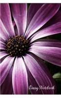 Daisy Notebook