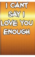 I Cant Say I Love You Enough