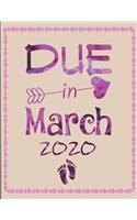 Due in March 2020: Pregnancy Planner And Organizer, Diary, Notebook Mother And Child