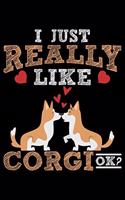 I Just Really Like Corgi Ok?
