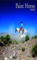 2020 Paint Horse Calendar