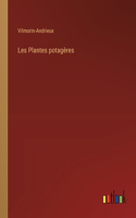 Les Plantes potagères