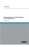 Management von Währungsrisiken durch Finanzderivate