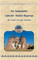 Die heldenhafte Lübecker Sheltie-Boygroup