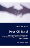 Does CE Exist? - An Investigation of Corporate Entrepreneurship Practices within the Service Sector