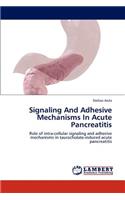 Signaling And Adhesive Mechanisms In Acute Pancreatitis