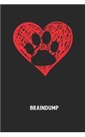 Braindump