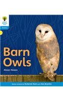 Oxford Reading Tree: Level 3: Floppy's Phonics Non-Fiction: Barn Owls