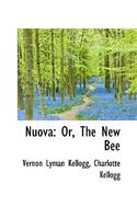 Nuova: Or, the New Bee