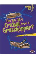 Can You Tell a Cricket from a Grasshopper?