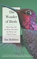 Wonder Of Birds
