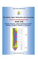 Holistic Spine - Associations and Reflections