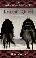 Knight's Quest