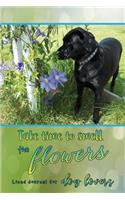 Take Time to Smell the Flowers: Lined Journal for Dog Lovers